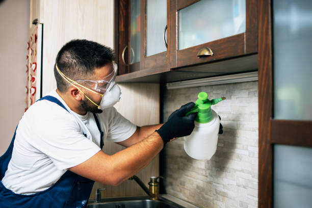 Best Best Pest Control Companies  in Olmsted Falls, OH