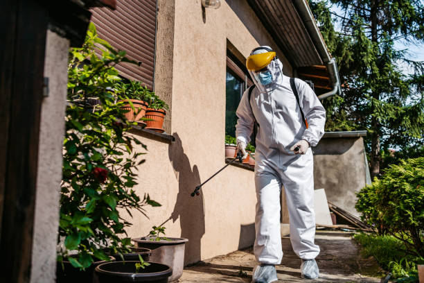 Best Pest Prevention Services  in Olmsted Falls, OH