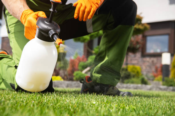 Best Bird Control  in Olmsted Falls, OH