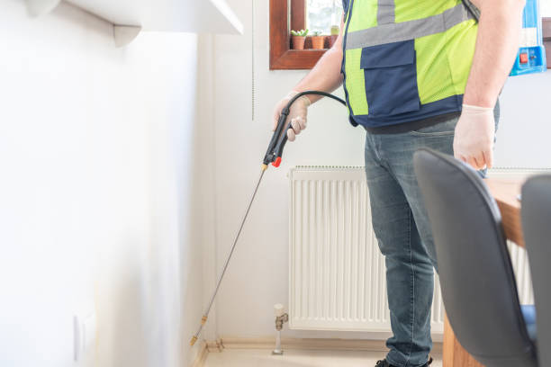 Best Wasp Removal Services  in Olmsted Falls, OH