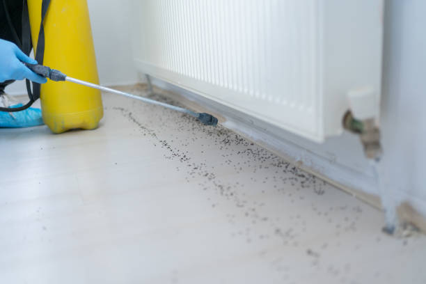 Best Pest Removal Services  in Olmsted Falls, OH