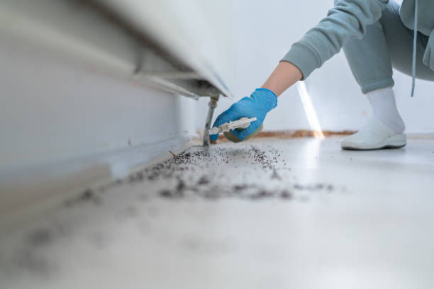 Best Emergency Pest Control  in Olmsted Falls, OH